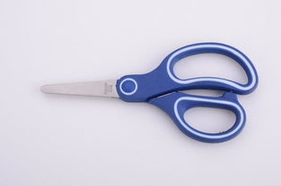 剪刀 ,陽江金昕五金制品廠
